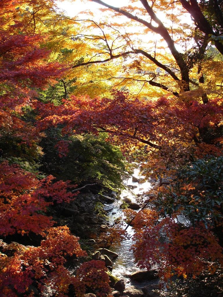 🏞️ 마루오 폭포 (丸尾滝) 이미지 10